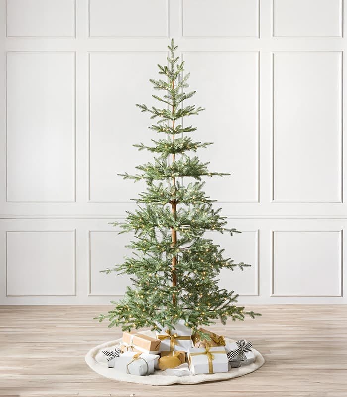 alpine-balsam-fir-trees.jpeg Alpine Balsam Fir Trees - Image 1